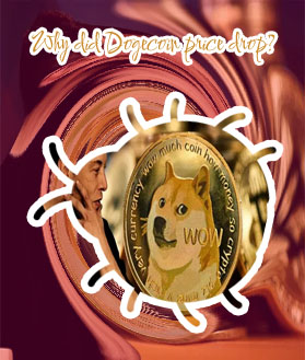 Bitcoin dogecoin crypto services big drops