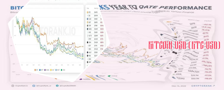 Bitcoin performance