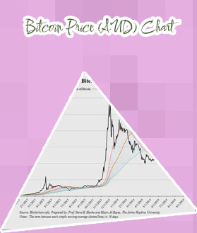 Bitcoin share price