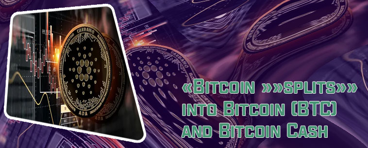 Bitcoin start price