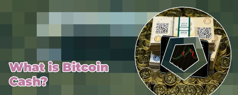 Btc cash price