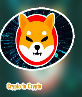 Crypto shiba