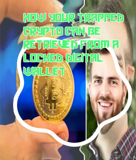 Man who threw away half a billion in bitcoin