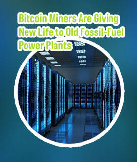 Plants become bitcoinmining operations there alternatives