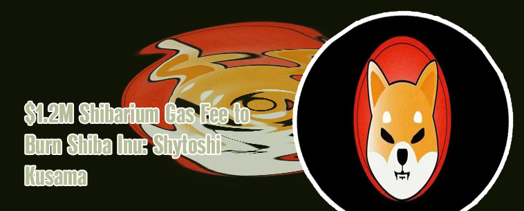 Shiba inu coin crypto