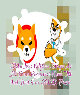 Shiba inu price crypto