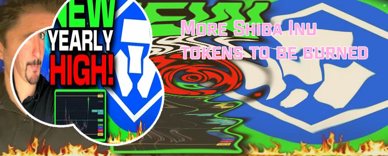 Shiba token cryptocom