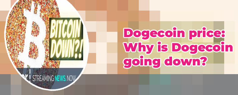 Why is dogecoin down today